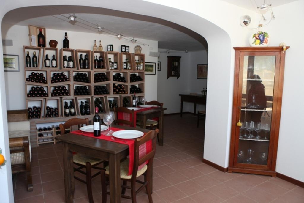 Villa Vigna Lontana à Montescudaio Extérieur photo
